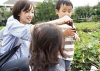 シェア畑 さいたま与野