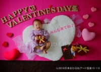 ほたる姉妹のおひるねアート