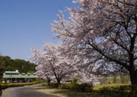 宮山ふるさとふれあい公園