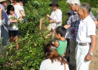豊宏園　富士山ブルーベリーの里