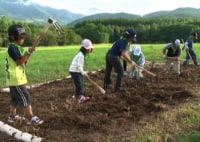 キッズコムファーム