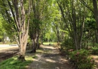 原鶴温泉 はらづる川の広場