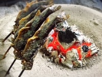 幻の岩魚　東北釣堀苑