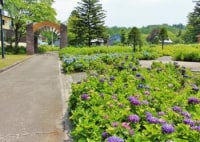 東山総合運動公園