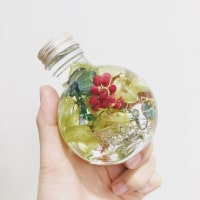 ブラストスタジオ　ジン