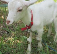 青海市民センター