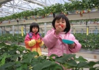 久万農業公園アグリピア