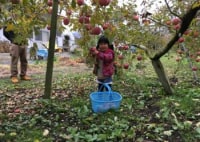 たきぐち果樹園