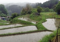 クレイシ棚田ビオトープ公園