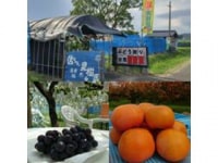 信ちゃん果樹園