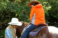 サニーズステーブル