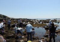 三浦半島城ヶ島海岸