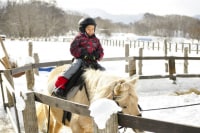 大沼流山牧場パドミュゼ