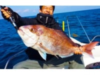 ソルトウォーターガイドEフレンズ