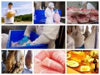 シャルキュティエ田嶋