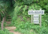 裏見ヶ滝遊歩道