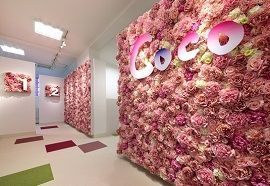 トータルフォトスタジオCoco(いわき店)