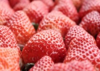 アクトいちごファーム