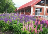 帯広市岩内自然の村