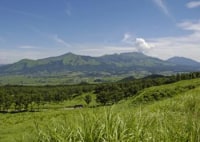 みなみあそ村観光協会