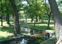 北海道大学イチョウ並木