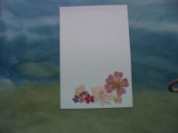 あんずの丘　押し花館