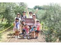 天草オリーブ園 AVILO