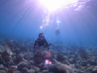 バウラインスクーバ