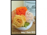 today's flower RICCI