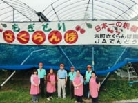 大町さくらんぼ園