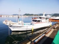 フィッシング太陽