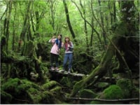 ?屋久島野外活動総合センター