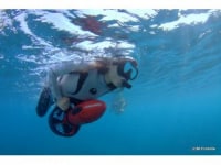 スノーケリング&ダイビング屋久島マリンサービス