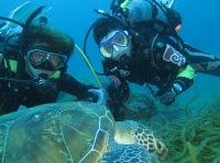 ブルーウォーターダイビングヤクシマ