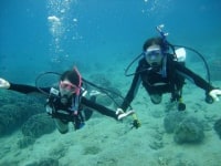 ダイビングステーション海来館
