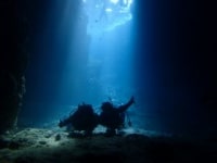 沖縄ダイビングサービス　Banana Reef