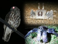 フィールドツアーいすら