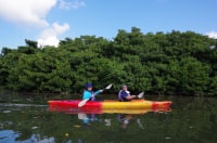 西表島カヌーツアーのんびりぷらぷら