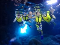 宮古島ダイビングリゾートReef