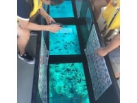 古宇利グラスボートまりん