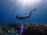 プロテクト沖縄