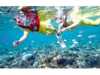 アイランド倶楽部