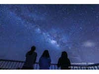 Coral-foundation西表島inc.