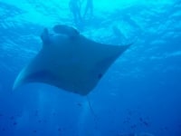 ペンション・マリンサービスKATSU