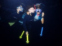 八重山DivingServiceField