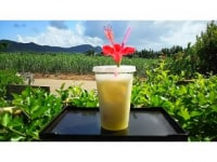 グラスアート工房BANYA