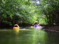 西表島海月カヤック&トレッキング&リクエスト観光ツアー