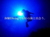 ダイビングショップ　皐月　‐SATSUKI‐