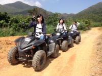 シンバトライバル