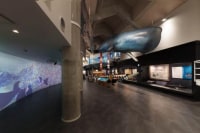 道の駅 キラメッセ室戸 鯨館